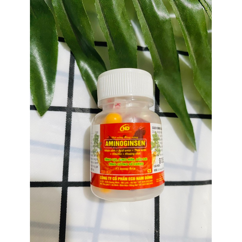 Aminoginsen tăng lực sung mãn dẻo dai tăng sức đề kháng cho gà chọi gà đá gà nòi gà tre
