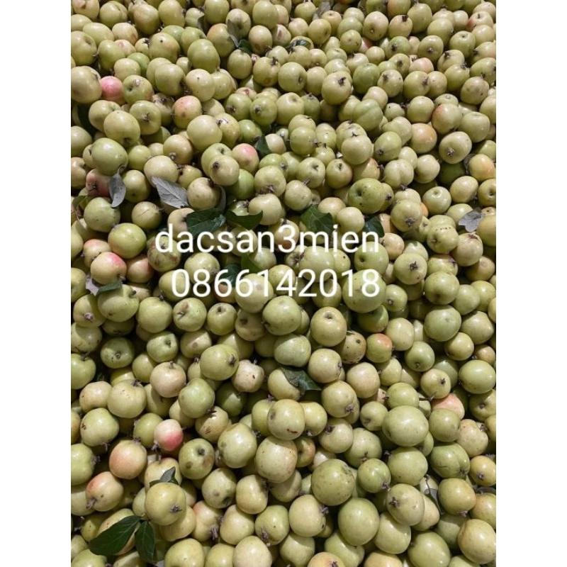 Táo mèo tươi 1kg