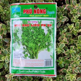 Hạt giống ngò bạc liêu Phú Nông