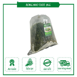 Rong nho tươi 1kg 500g kyodo khánh hoà hàng chất lượng cao rong nho trang phạm