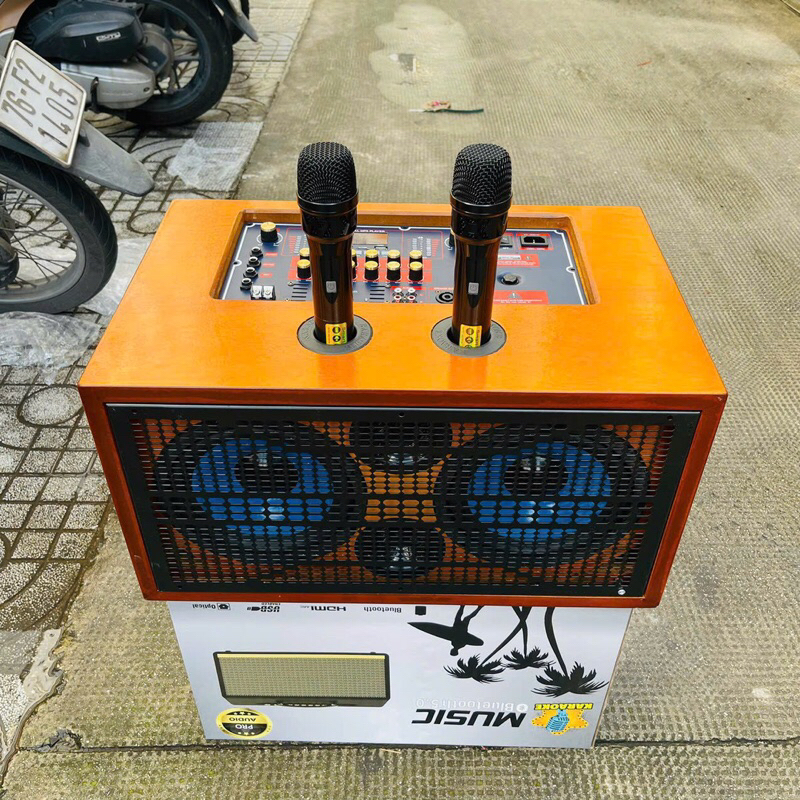 Loa karaoke xách tay Marshall MS-220