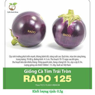 Hạt giống cà tím trái tròn rado 125 hạt giống rạng đông