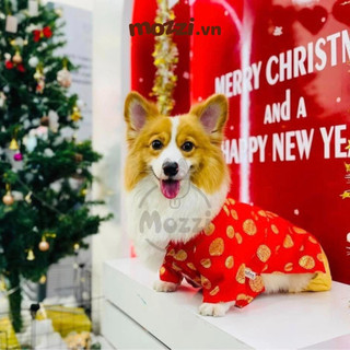 Áo dài Tết truyền thống cho chó mèo