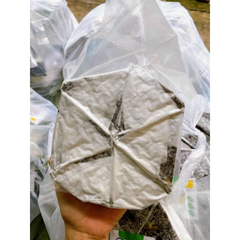 69k 6 Miếng Cơm Gạo Lứt hạt sen Nấu Sẵn