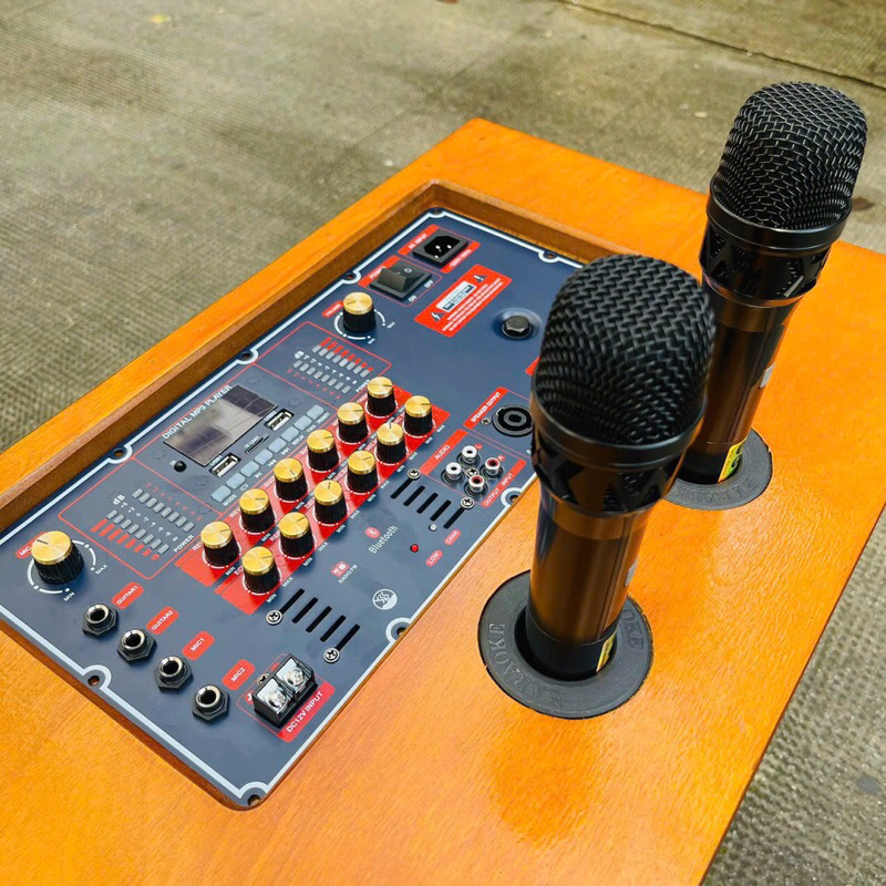 Loa karaoke xách tay Marshall MS-220