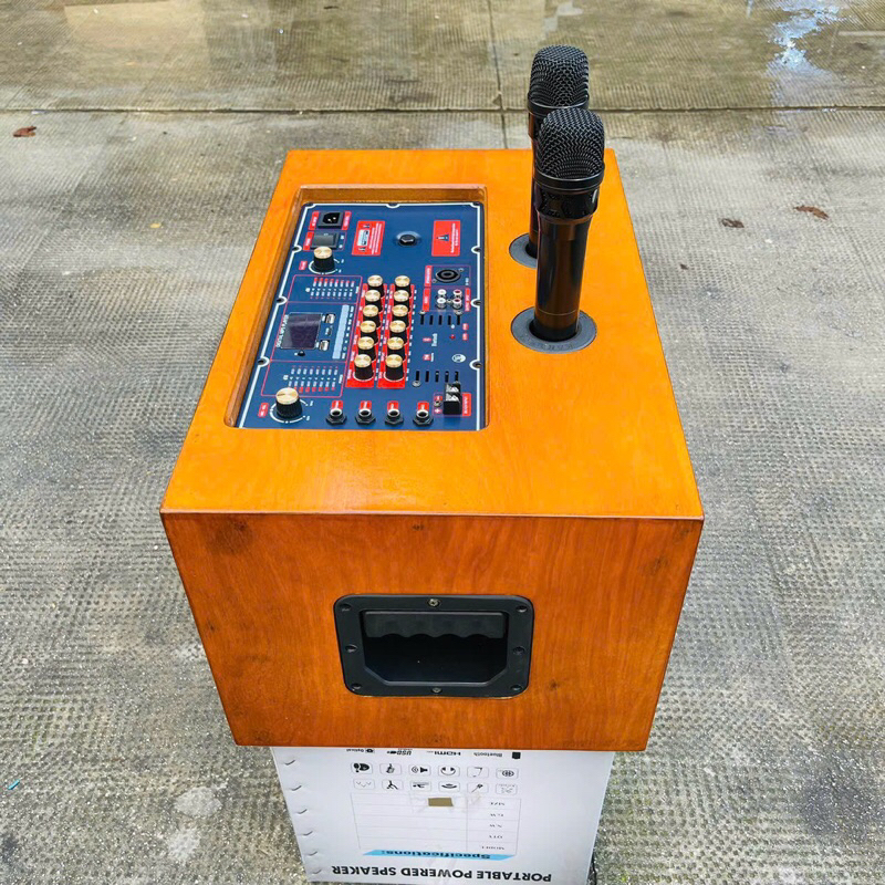 Loa karaoke xách tay Marshall MS-220