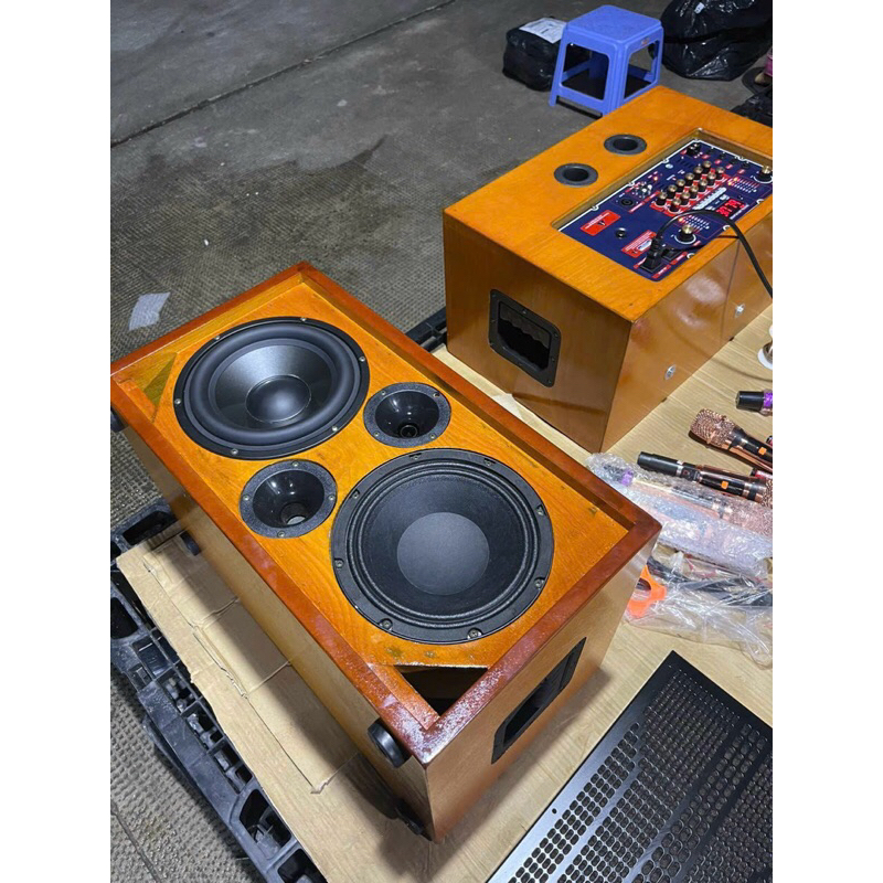 Loa karaoke xách tay Marshall MS-220