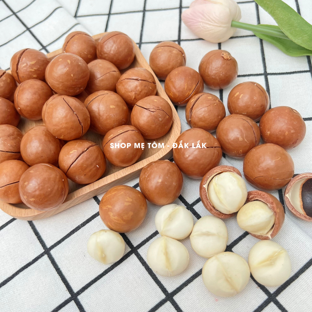 500GRAM MACCA ĐĂKLĂK SIZE TRUNG 2.3CM - 2.8CM CHUẨN GIÒN SẤY ĂN LIỀN