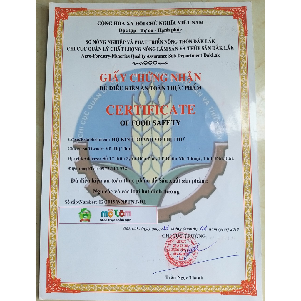 500GRAM MACCA ĐĂKLĂK SIZE TRUNG 2.3CM - 2.8CM CHUẨN GIÒN SẤY ĂN LIỀN