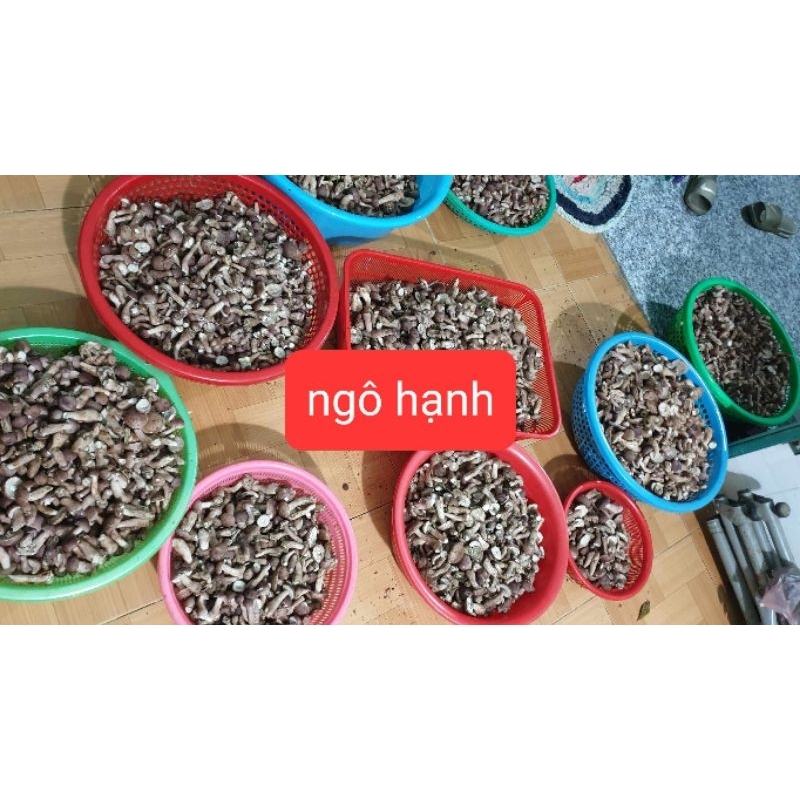 Nấm rừng tràm 1kg loại ngon.