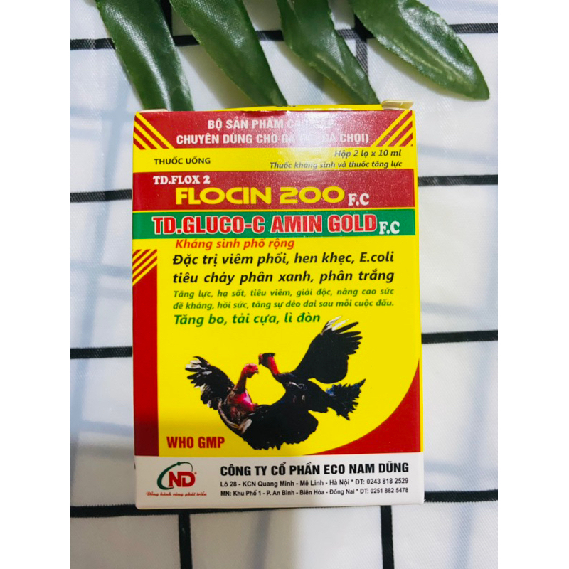 Flocin 200 và Gluco C amin hen khẹc ecoli tiêu chảy phân xanh trắng tăng bo lì đòn tải cựa cho gà đá gà chọi