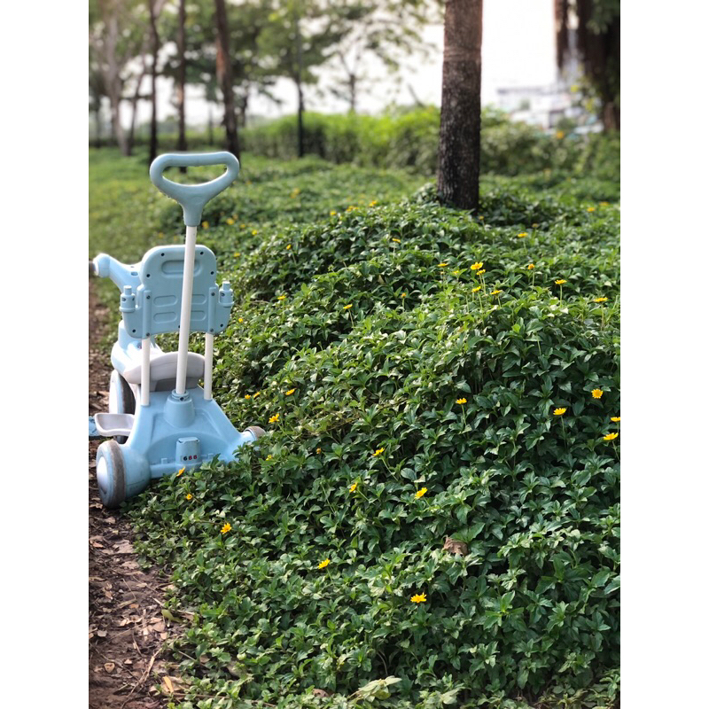 Thanh Ly Xe đẩy xe đạp 3 bánh cho bé có thể xe tròi chân hoac xe đạp