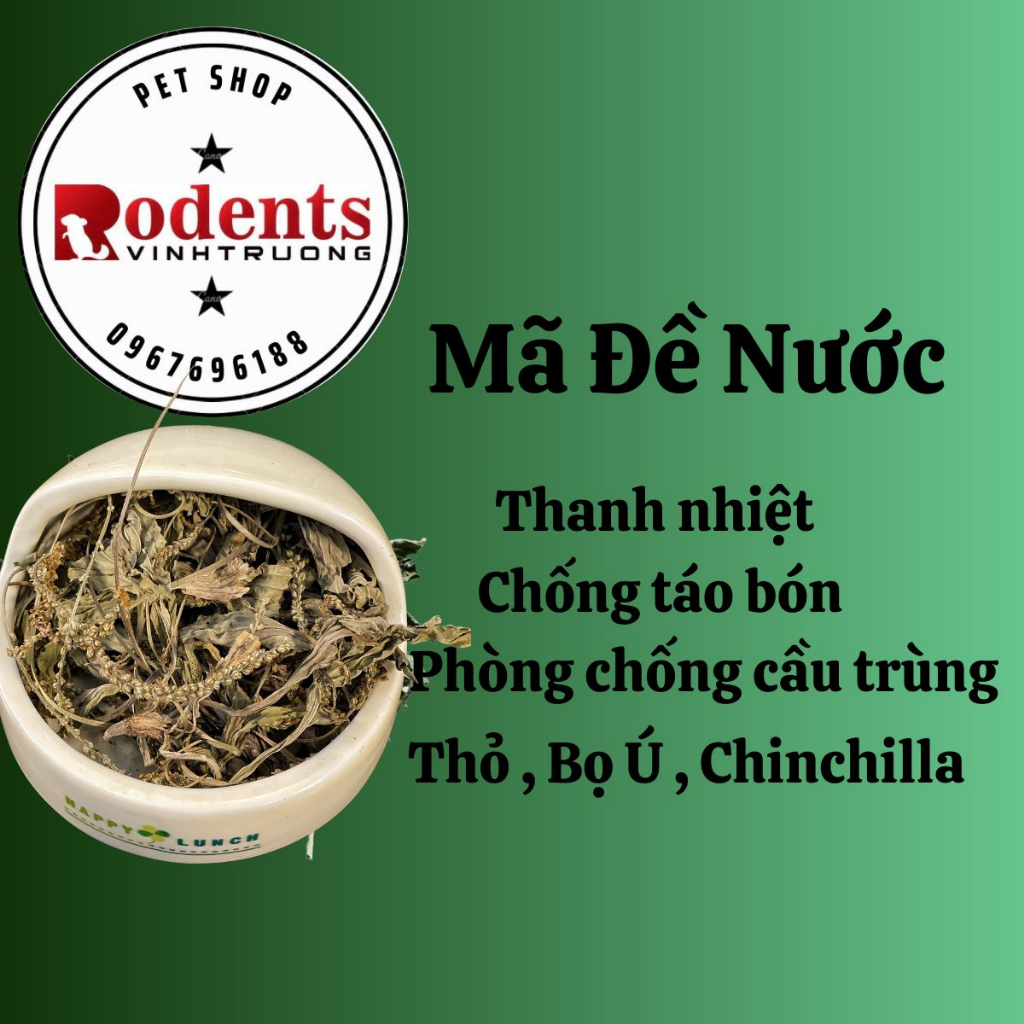 Lá Mã Đề Nước sấy lạnh dành cho Thỏ, Bọ ú, Chinchilla.