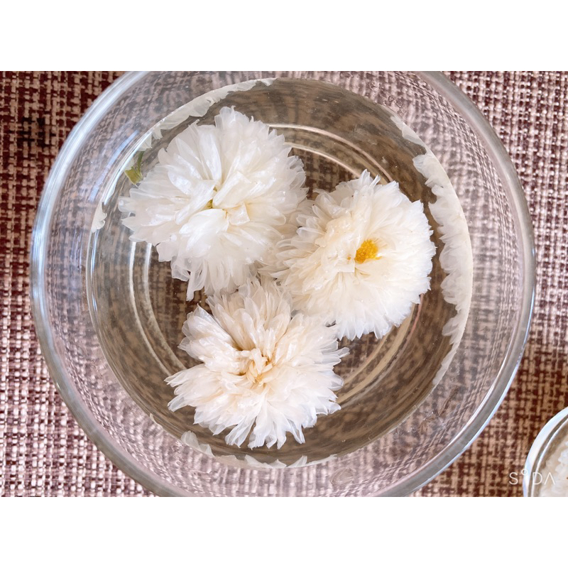 Hoa cúc trắng Hoàng Sơn sấy lạnh, hoa trắng nở to đều