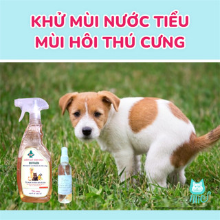 Xịt khử mùi và sát khuẩn Biffaen cực kì tốt, an toàn, lành tính cho thú cưng. xịt chuồng vệ sinh