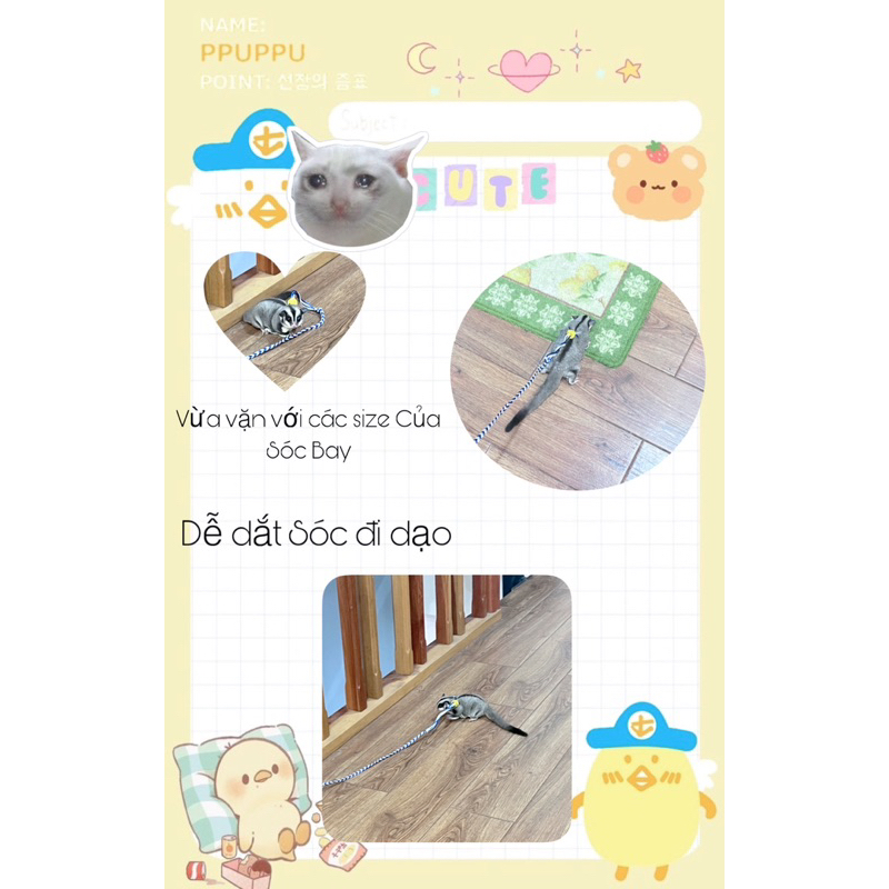 Dây Xích dẫn Sóc Bay đi dạo từ size baby đến mập thù lù