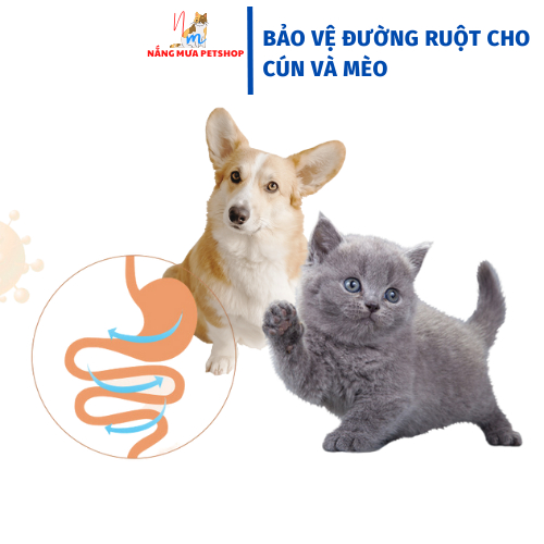 Pudding cho mèo sữa dê bổ sung gấp đôi canxi cho mèo