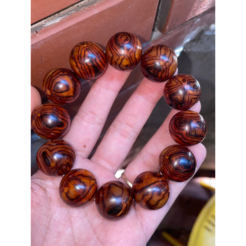 20li sưa bắc đỏ vân hoa