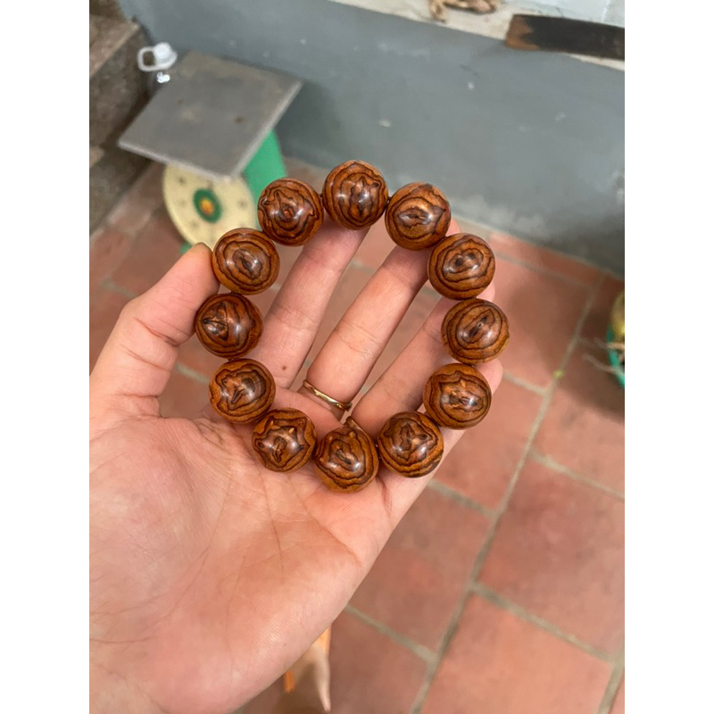 20li sưa bắc đỏ vân hoa