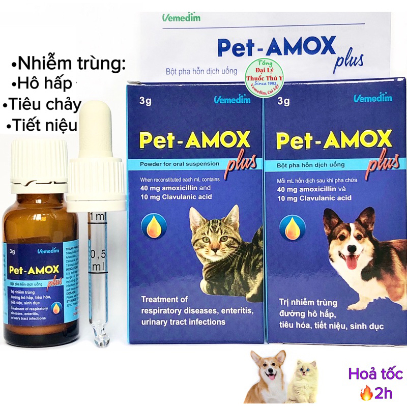 Pet AMOX plus cho chó mèo: hô hấp, tiêu chảy, viêm vết thương