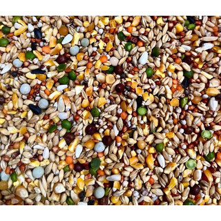 Ngũ cốc gà kgông cám 5kg 125k