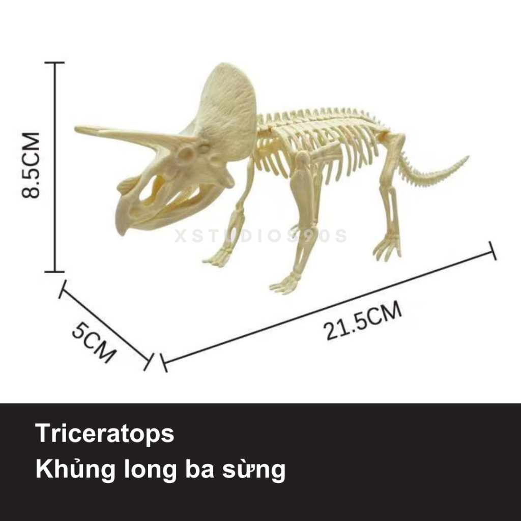 Đủ mẫu mô hình xương khủng long hóa thạch 3D tự lắp ráp độc đáo - XStudios90s