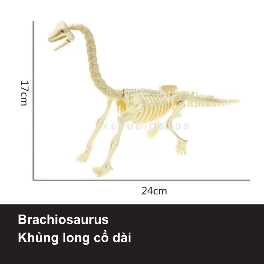 Đủ mẫu mô hình xương khủng long hóa thạch 3D tự lắp ráp độc đáo - XStudios90s