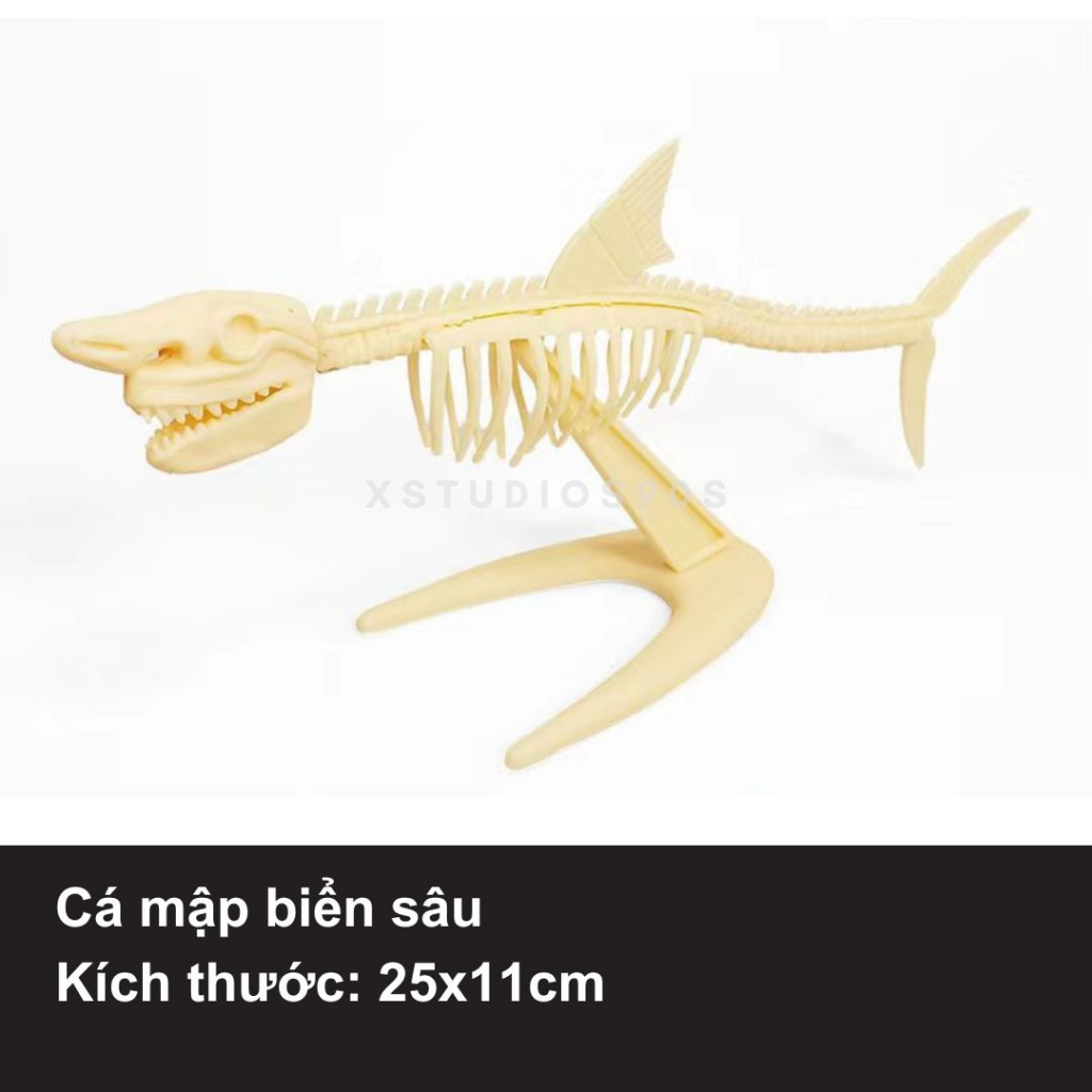 Đủ mẫu mô hình xương khủng long hóa thạch 3D tự lắp ráp độc đáo - XStudios90s