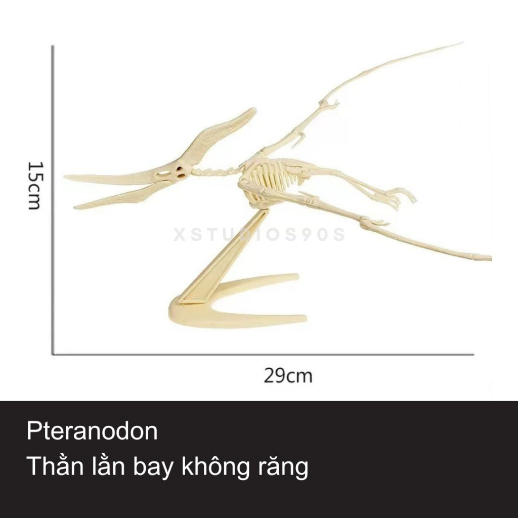 Đủ mẫu mô hình xương khủng long hóa thạch 3D tự lắp ráp độc đáo - XStudios90s