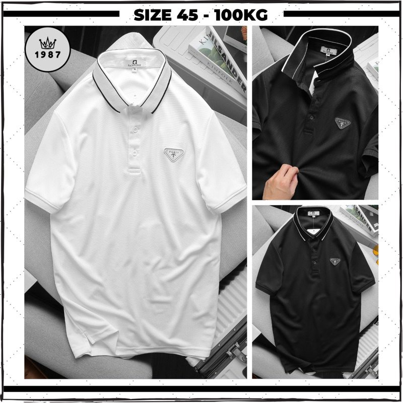 Áo polo nam big size, áo thun nam có cổ thêu hình logo chất vải cotton form rộng 100kg mầu đen trắng áo mặc mùa hè