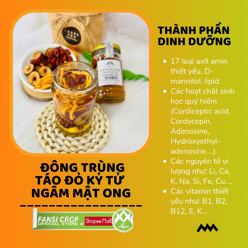 Đông Trùng Hạ Thảo, Táo đỏ, Kỷ tử ngâm mật ong Fansi, 100ML