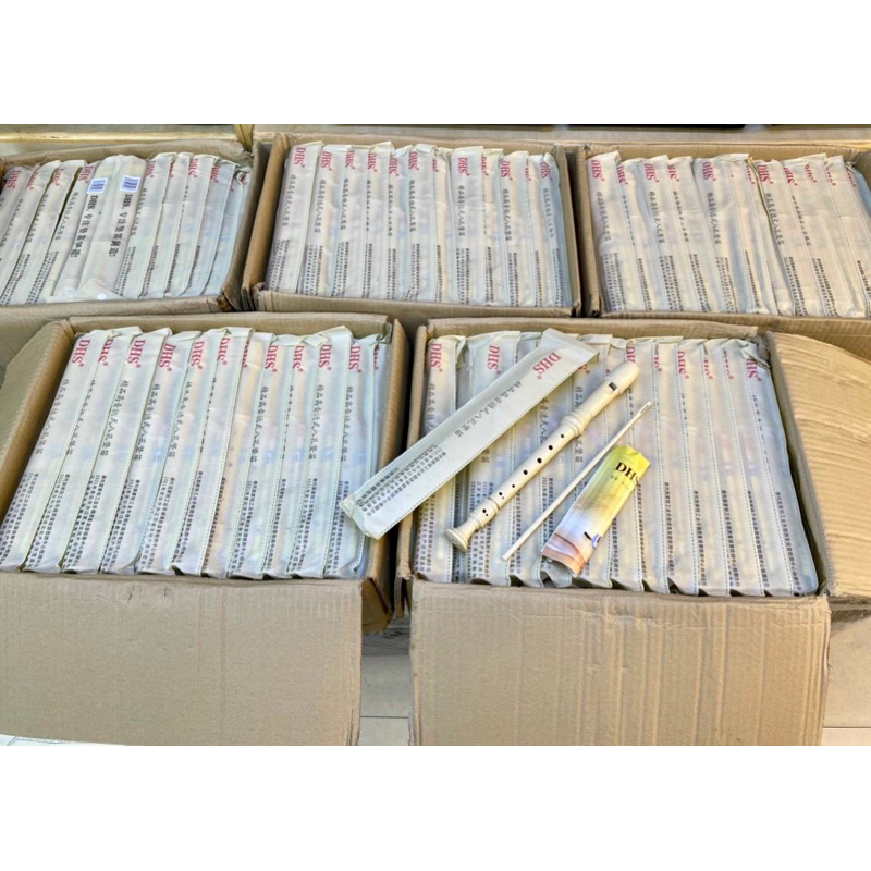 50 SÁO RECORDER DHS 8 LỖ