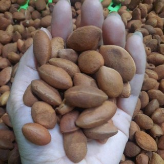Say, xay ruột lột sẳn sấy khô không tẩm gia vị, say muối ớt, rim mật, say tươi