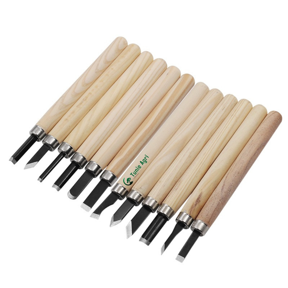 Bộ 12 dụng cụ đục gỗ ,khắc gỗ nghệ thuật