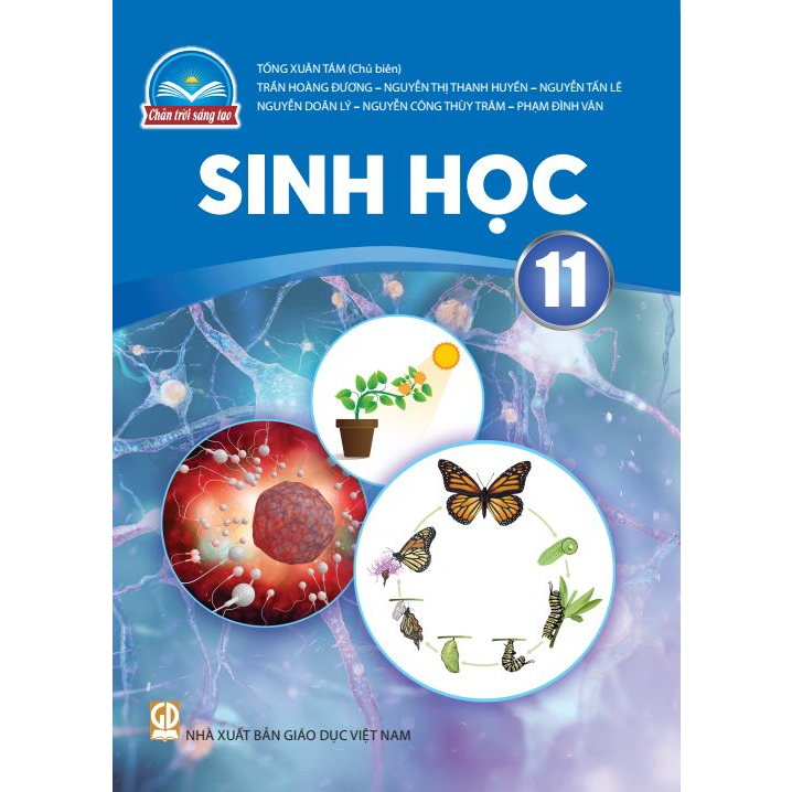 Sách giáo khoa Sinh học 11 - Chân trời sáng tạo