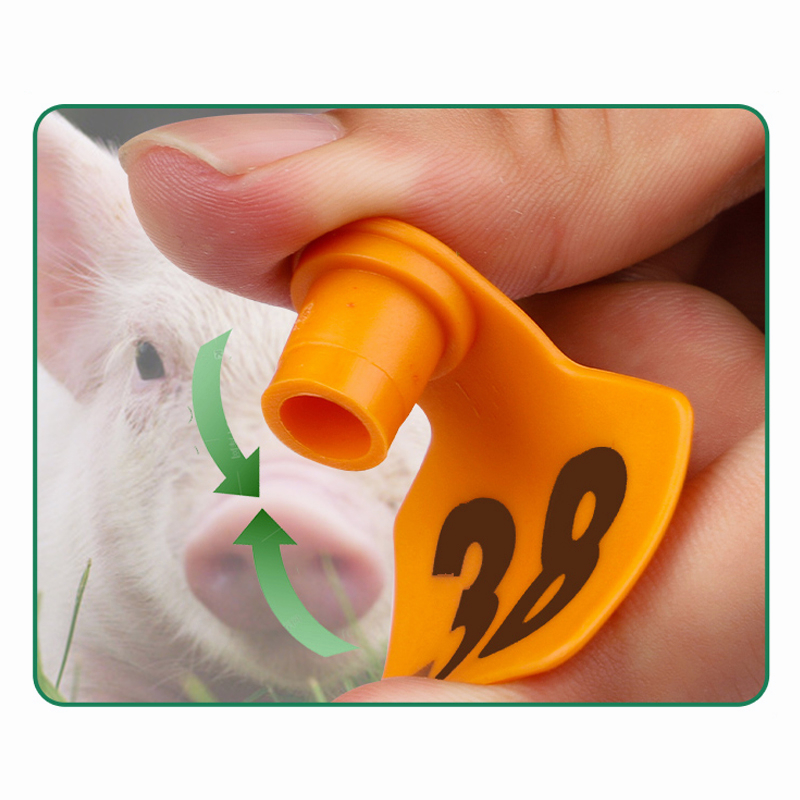 Kìm bấm thẻ tai trâu, bò, dê, cừu, set 100pcs thẻ đeo tai gia súc, thẻ tai động vật thiết thực dễ sử dụng có số