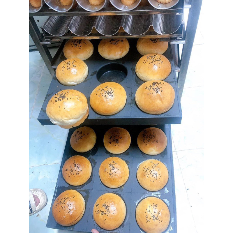 Khuôn tròn hamberger