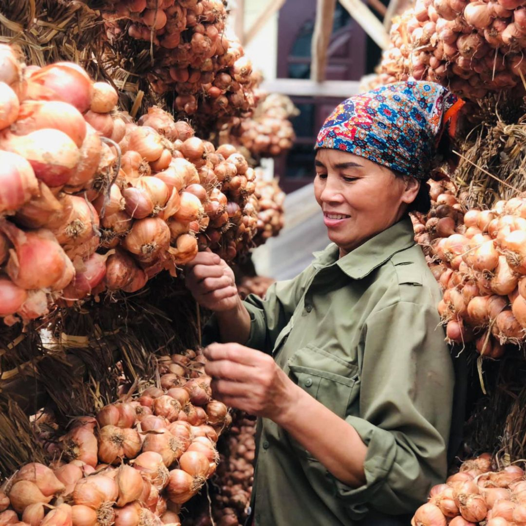 HÀNH CỦ TA KINH MÔN LOẠI NGON NHẤT  - CỦ TO ĐỀU, KHÔNG ÓP, KHÔ VÀ KHÔNG CHẤT BẢO QUẢN.