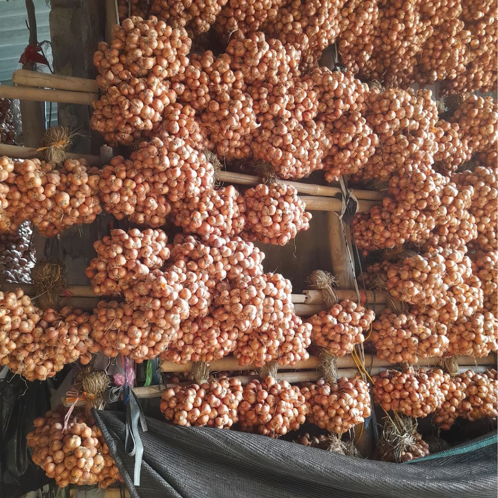 HÀNH CỦ TA KINH MÔN LOẠI NGON NHẤT  - CỦ TO ĐỀU, KHÔNG ÓP, KHÔ VÀ KHÔNG CHẤT BẢO QUẢN.