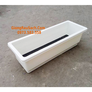 10 chậu thông minh trồng cây trông hoa thông minh