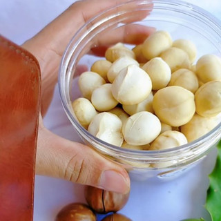 250g nhân macca trắng sấy chín ăn liền - macca daklak tân hà tách vỏ - 100% hàng việt nam có giấy phép