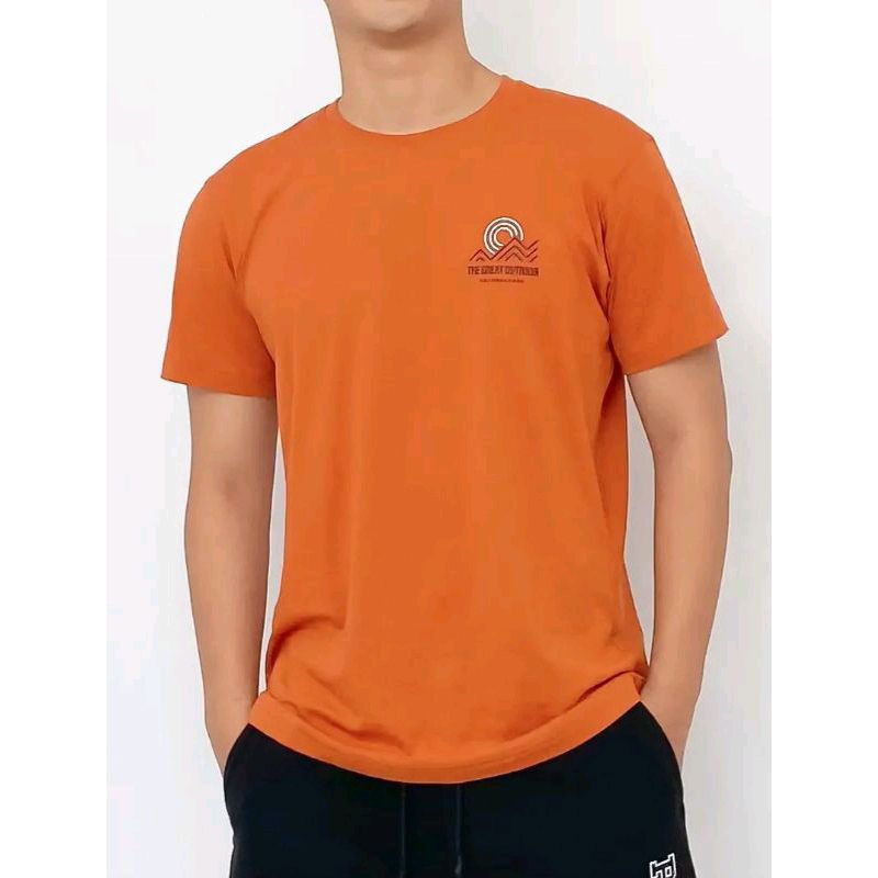 Áo phông nam Canifa chất cotton USA