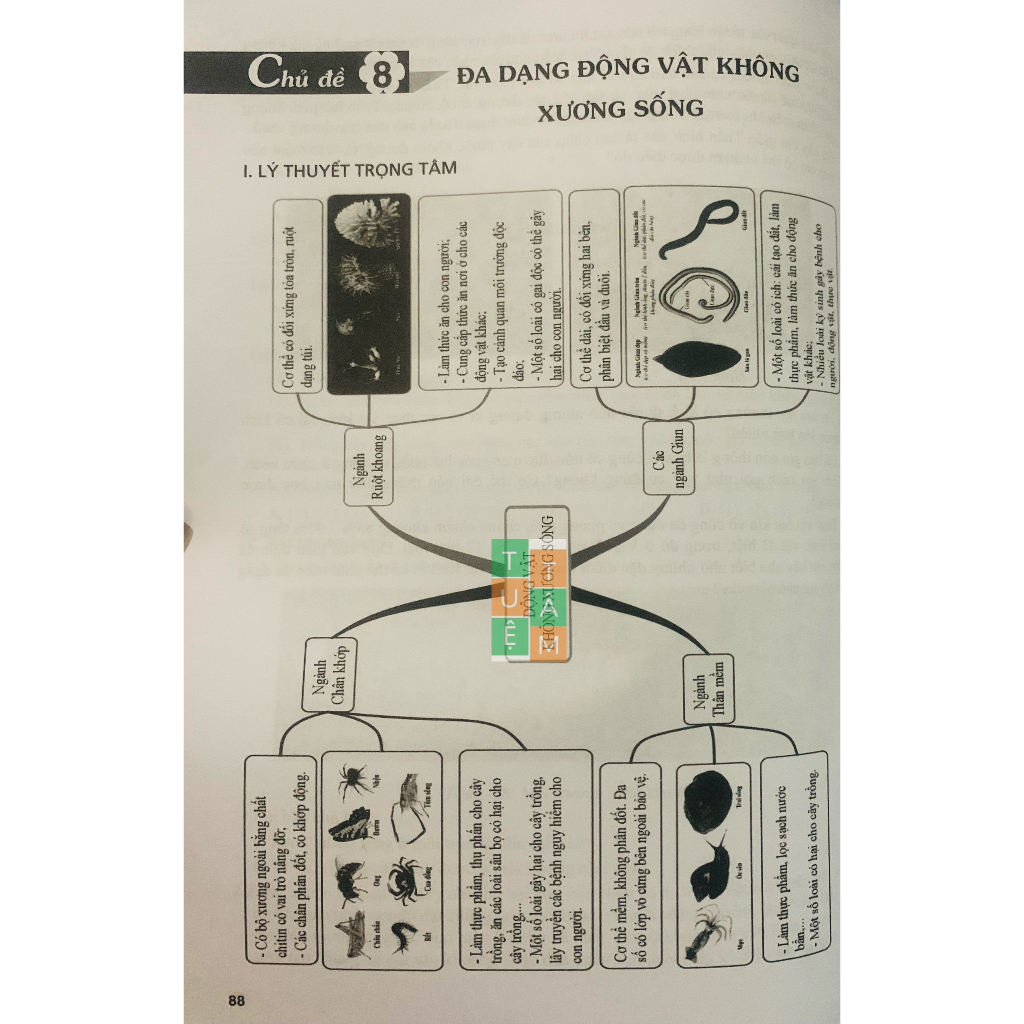 Sách - Bài tập phát triển năng lực môn Khoa học tự nhiên 6