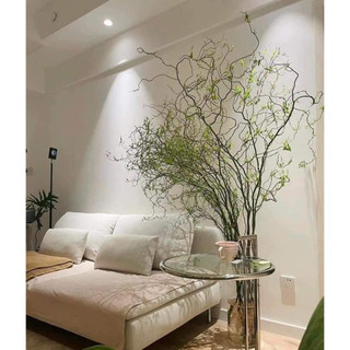 1 bó cành Salix (10 cành)