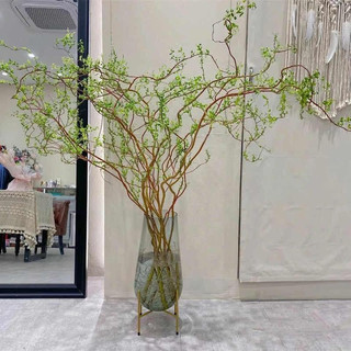 1 bó cành Salix (10 cành)