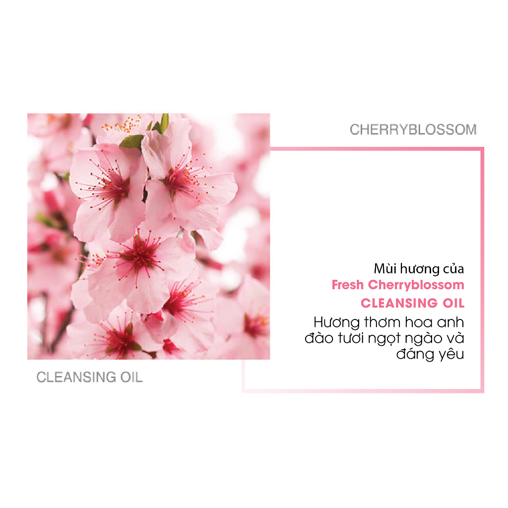 Dầu Tẩy Trang Hoa Anh Đào Cho Da Khô Graymelin Fresh Cherryblossom Cleansing Oil 400ml