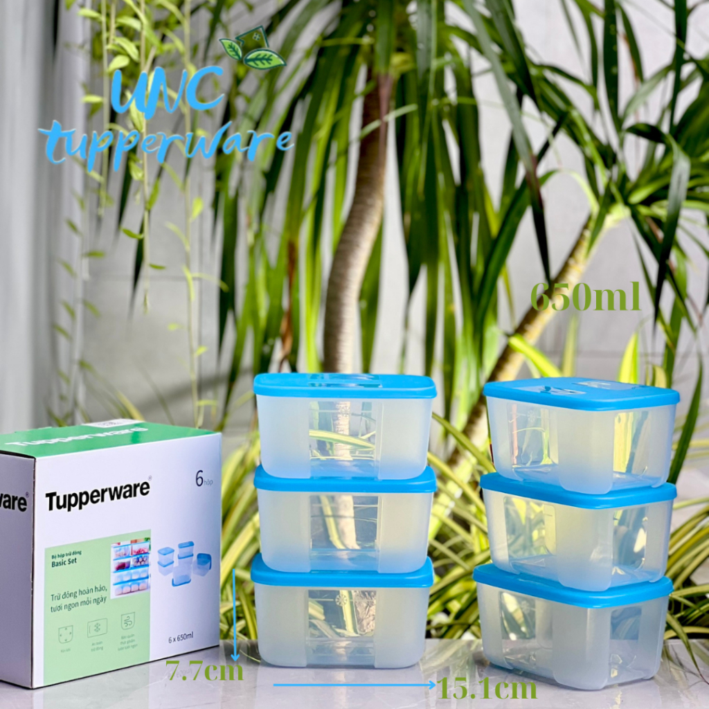 Bộ hộp trữ đông Tupperware Basic Set 650ml (6 Hộp)