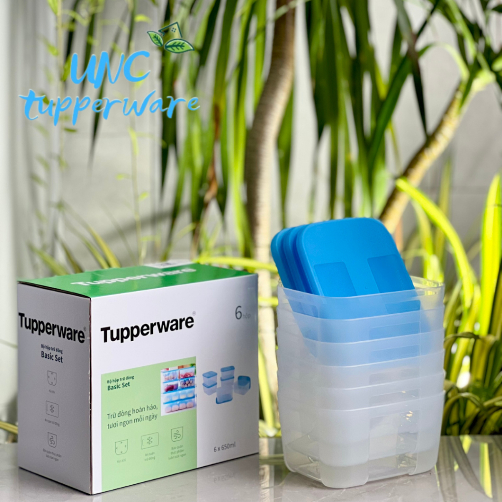 Bộ hộp trữ đông Tupperware Basic Set 650ml (6 Hộp)