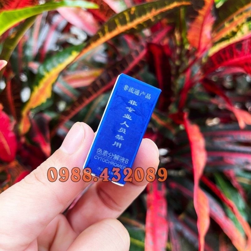 Serum B chấm nám Hồng Kong