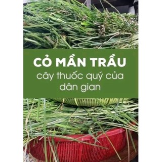 Mần trầu khô đẹp 100g